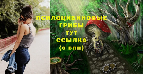 прущий лед Лихославль