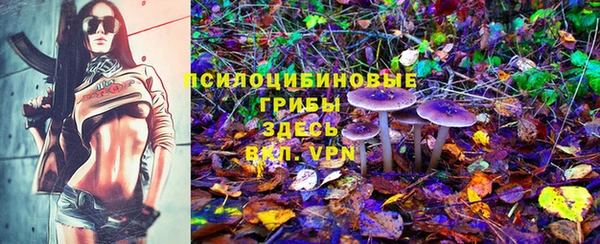 прущий лед Лихославль
