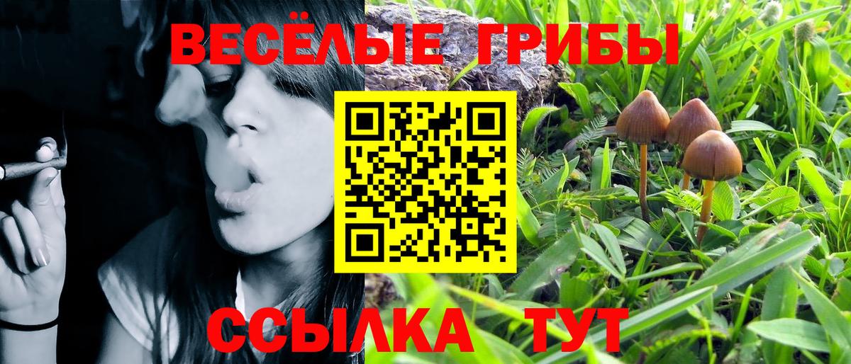 Галлюциногенные грибы Magic Shrooms  Вход с VPN  хочу   Новоалександровск 