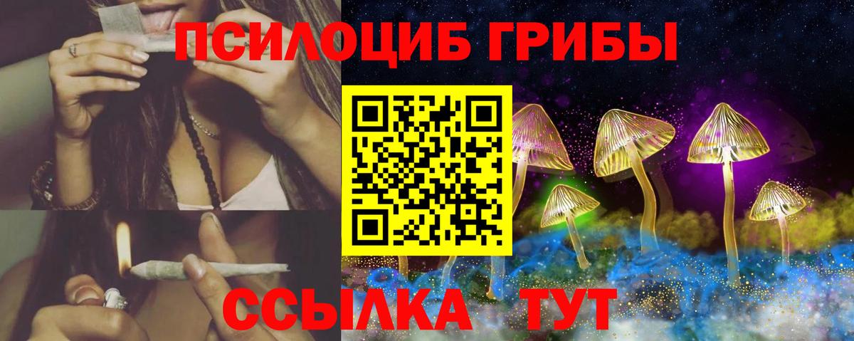 Галлюциногенные грибы Psilocybine cubensis Новоалександровск