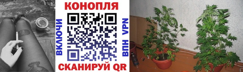 Марихуана SATIVA & INDICA  MEGA вход  Новоалександровск  наркотики 
